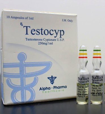 Testosterone Cypionate 10 ampuls (250mg/ml) online by Alpha Pharma, Watson analogue