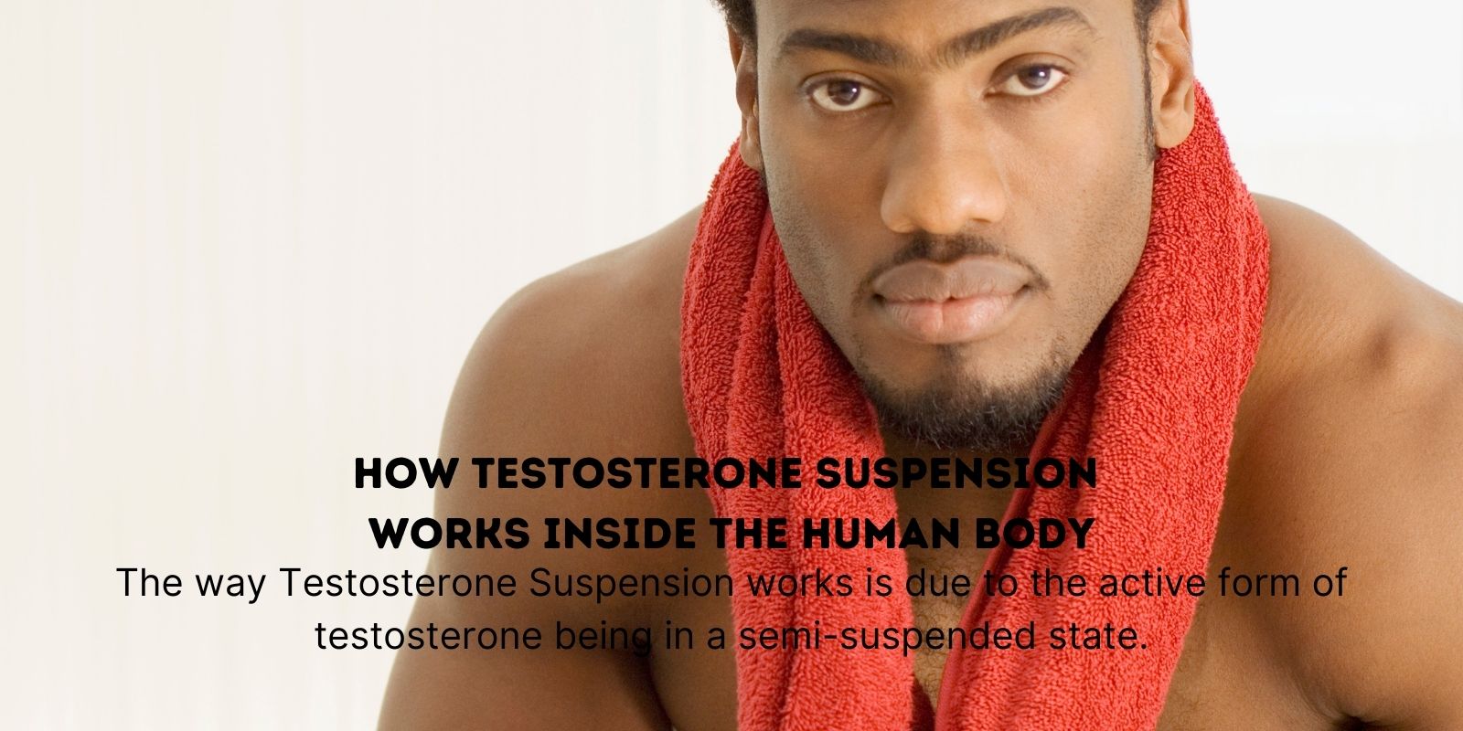 Hoe testosteron suspensie werkt in het menselijk lichaam